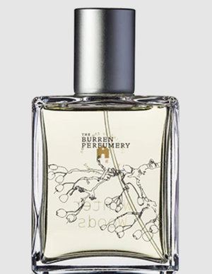 Picture of Winter Woods fragrance