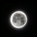 Avatar for user "vhiteo"