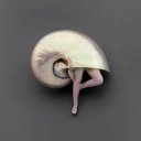 Avatar for user "cloudcoverrr"