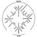 Avatar for user "moth"