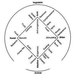 Avatar for user "moth"