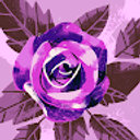 Avatar for user "heykaekae"