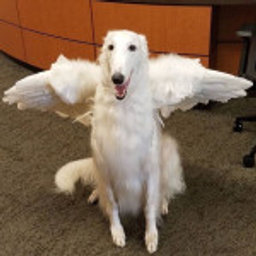 Avatar for user "marshmallowgirl"