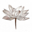 Avatar for user "tshahb"