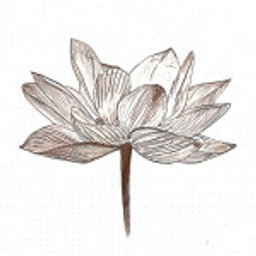 Avatar for user "tshahb"