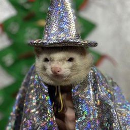 Avatar for user "sirjk"