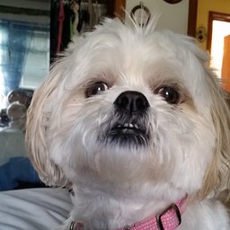 Avatar for user "mike318"