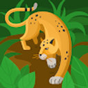 Avatar for user "matipole"