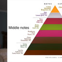 Avatar for user "bakedbakar"