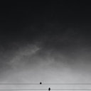 Avatar for user "austin"