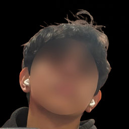 Avatar for user "arizz"