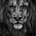 Avatar for user "attentionspann"