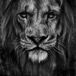 Avatar for user "attentionspann"