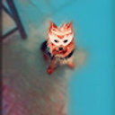 Avatar for user "tobiasguerrero"