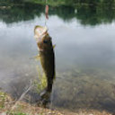 Avatar for user "nolanjackson"