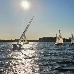 Avatar for user "alexnailer"