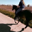 Avatar for user "lenteherteleer"