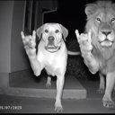 Avatar for user "leotaylor"