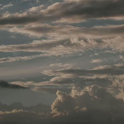 Avatar for user "castensfrags"