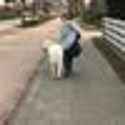 Avatar for user "malk"