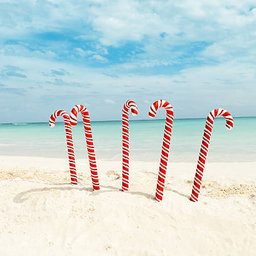 Avatar for user "emilio"