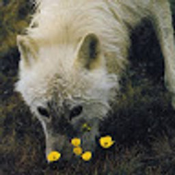 Avatar for user "saturnic-ether"