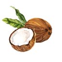 Avatar for user "betzavc"