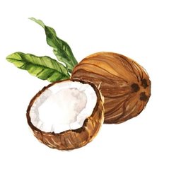 Avatar for user "betzavc"