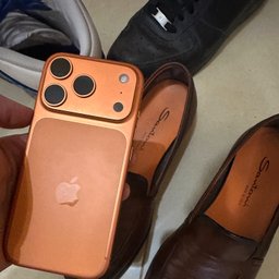 Avatar for user "pintaleana"