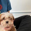 Avatar for user "rebeccahsieh"