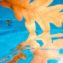 Avatar for user "cambridgepetrichor"