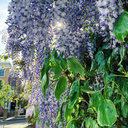 Avatar for user "kvik"