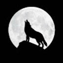 Avatar for user "pop"