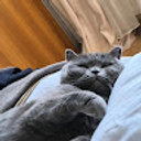 Avatar for user "vaidavoievod"