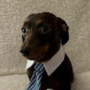 Avatar for user "julia"