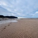 Avatar for user "sgscent"