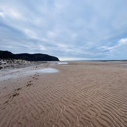 Avatar for user "sgscent"