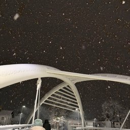 Avatar for user "simon111"