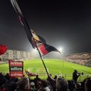 Avatar for user "brandofranceschini"