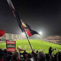 Avatar for user "brandofranceschini"