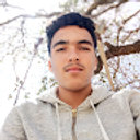 Avatar for user "gamraanis"