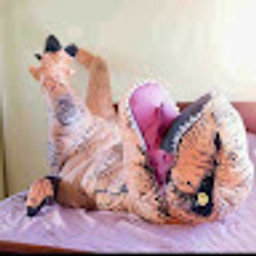 Avatar for user "montagne"