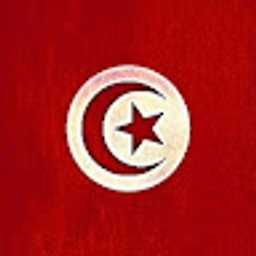 Avatar for user "nessim"