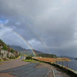 Avatar for user "ivy"