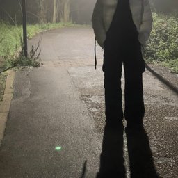 Avatar for user "zendolimitz"