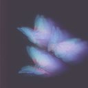 Avatar for user "kimberlin"