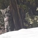 Avatar for user "k0re"