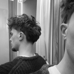 Avatar for user "tibotms"