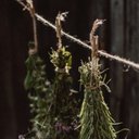 Avatar for user "antics"