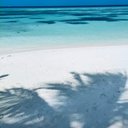 Avatar for user "sophia18"